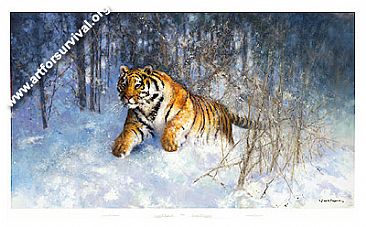 Tiger in the Snow - Tigers by David Shepherd