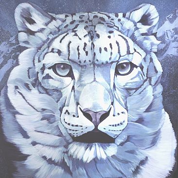 Spirit of the Himilayan - snow leopard by Thomas Hardcastle