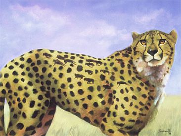 Cheetah - cheetah by Thomas Hardcastle
