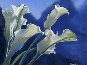 Day At The Races  - calla lilies by Thomas Hardcastle