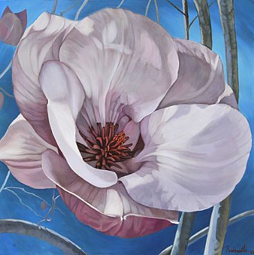  "Murasaki"Japanese Magnolia - japanese magnolia by Thomas Hardcastle