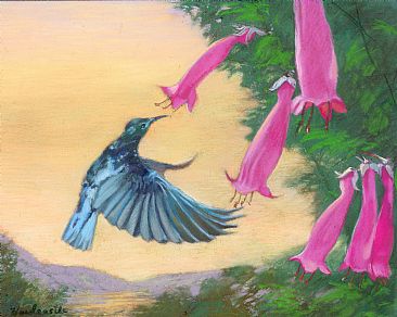 Shall we Dance - sunbird by Thomas Hardcastle