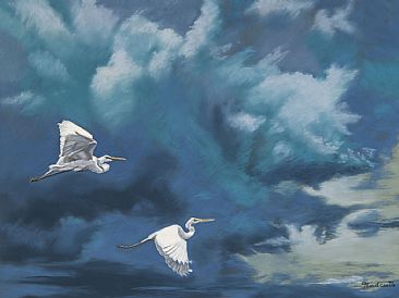 storm chasers - egrets by Thomas Hardcastle