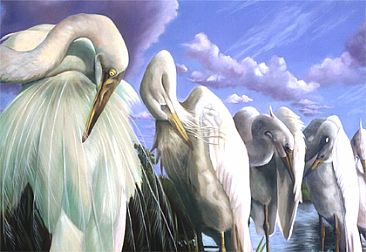 Egrets - egrets by Thomas Hardcastle