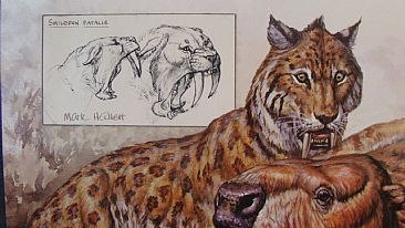 Smilodon and Paramylodon (detail) - Sketch of sabertooth cat and sloth predation behavior by Mark Hallett