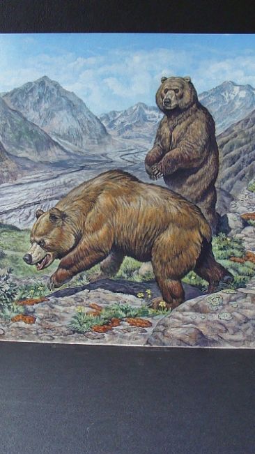European Cave Bears -  by Mark Hallett