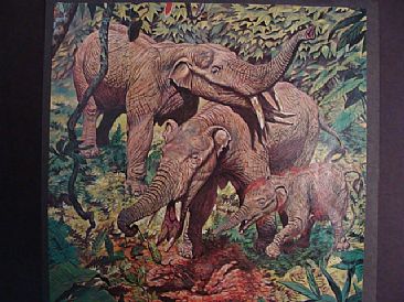 The Wild Cucumber - Gomphothere mastodonts by Mark Hallett
