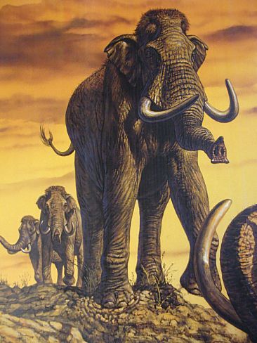 Columbian Mammoths - Ice Age North American mammoth by Mark Hallett