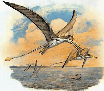Evening Flight - Rhamphorynchus (early pterosaur) by Mark Hallett