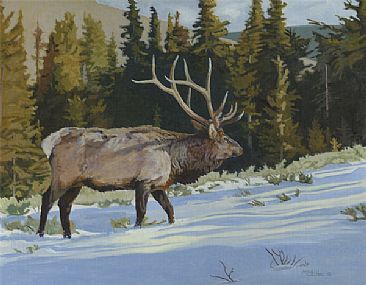 Into The Sun - Bull Elk by Craig Magill