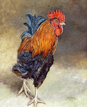 Rooster Study - Rooster by Craig Magill