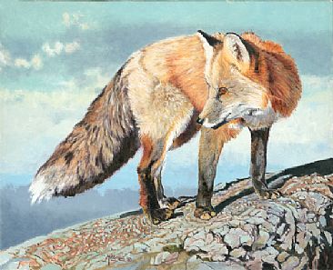 Vantage Point - red fox by Craig Magill