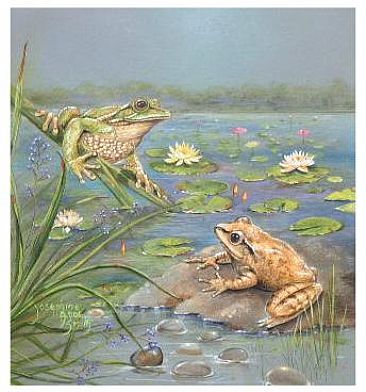 "Peaceful Partners" - Frogs by Josephine Smith