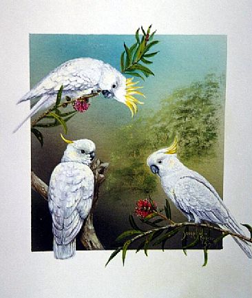"Bad and Beautiful" - Cockatoos by Josephine Smith