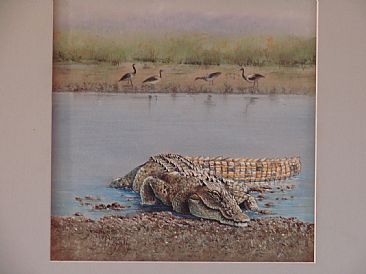 "The Evil Eye" - Crocodile by Josephine Smith