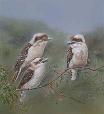 Kookaburras - Three Kookaburras by Josephine Smith
