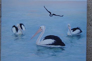 Serenity - Pelicans by Josephine Smith