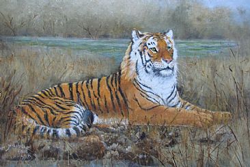 On the alert - tiger by Josephine Smith