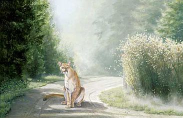 Crossing Paths - Cougar by Lindsey Foggett