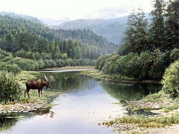 Peaceful Reflections - Moose by Lindsey Foggett