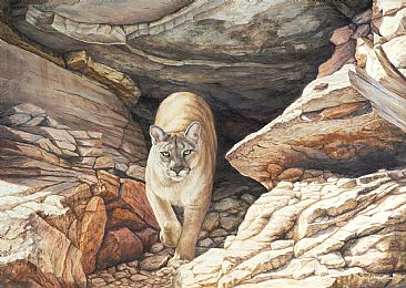 Powerful Intent - Mountain Lion by Lindsey Foggett