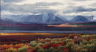 Stormlight - Grizzly, Denali, Alaska by Lindsey Foggett
