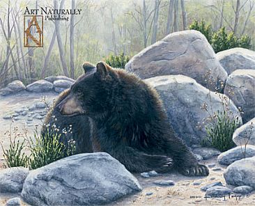 Mountain Home - Black Bear by Lindsey Foggett