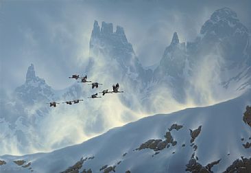 Crossing the Pyrenees - Migrating Cranes - European Crane by Hans Kappel