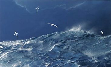 Wandering Albatrosses -  by Hans Kappel