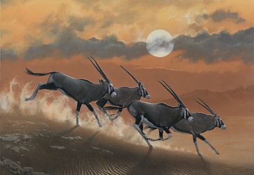 Oryx - Oryx Antelope by Hans Kappel