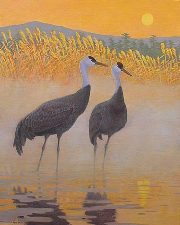 Hooded Cranes: Nabezuru - Hooded Crane ;Grus monarchus;(Jp. Nabezuru) by Jon Janosik