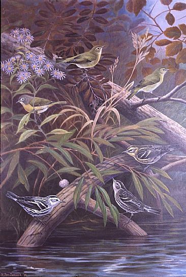 Warbler Hybrids I - Intergeneric and Interspacific N.A. Warbler Hybrids by Jon Janosik
