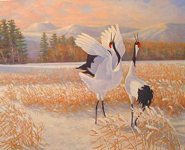Tanchou Lovers: Hokkaido - Japanese Red-crowned Cranes; Grus japonensis by Jon Janosik