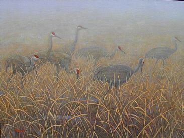 Fog Passage - Sandhill Cranes; Grus Canadensis by Jon Janosik