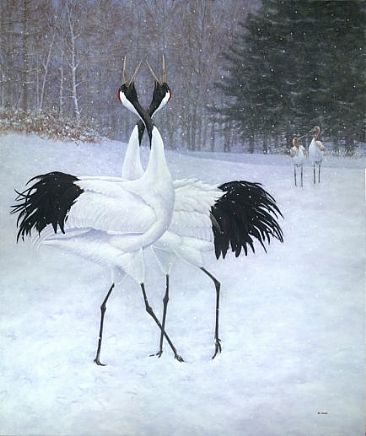 Tanchou Duet - Japanese Red-crowned Crane;Grus Japonensis;Tanchou(JP) by Jon Janosik