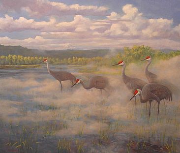 Sandhill Cranes:Sauvie Island - Sandhill Cranes; Grus canadensis by Jon Janosik