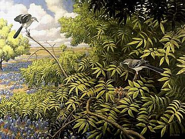 Texas Trilogy - Texas State Bird(Mimus polyglottos),Tree(Pecan),and Flower(Blue Bonnet).  by Jon Janosik
