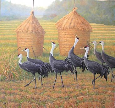 Takuhatsu no Nabezuru: Hooded Cranes  - Hooded Crane; Nabezuru (Jp.);Grus monachus by Jon Janosik