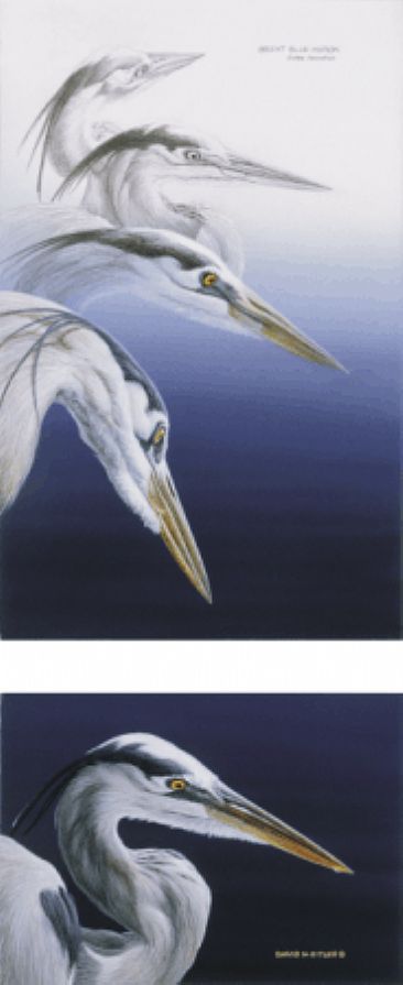 Great Blue Heron Diptych - Great Blue Heron by David Kitler