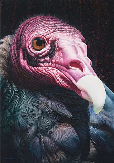 Larger than Life - Turkey Vulture - Turkey Vulture by David Kitler