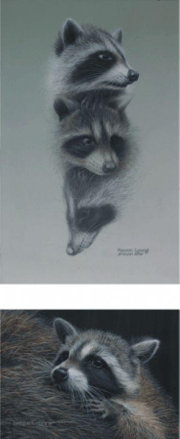 Racoons (Young) Diptych - Racoon (Young) by David Kitler