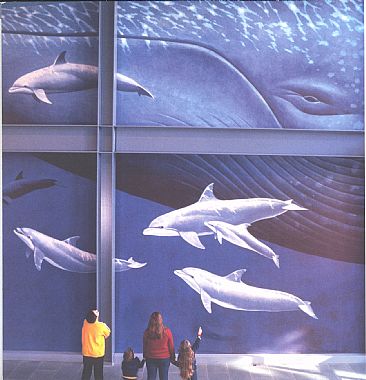 Blue Whale Mural - Blue whale and bottlenose dolphins by Richard Ellis