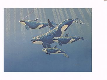 Orca Family - Orcinus orca by Richard Ellis