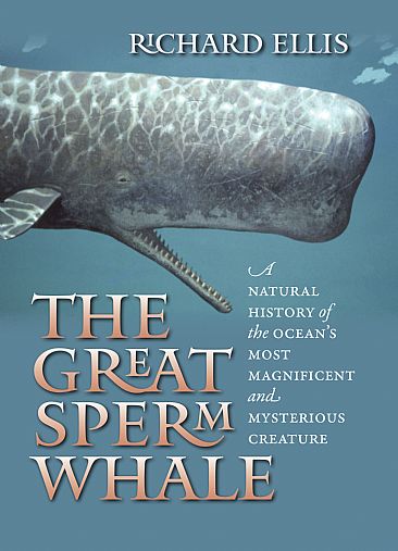 The Great Sperm Whale -  by Richard Ellis