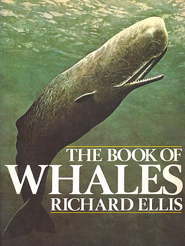 The Book of Whales - The world's whales by Richard Ellis