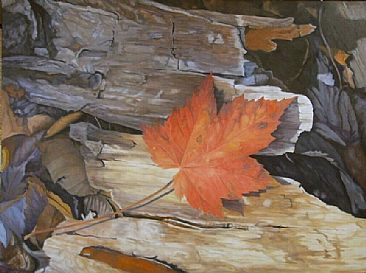One Orange Leaf - Maple leaf on forest debris by  Harlan