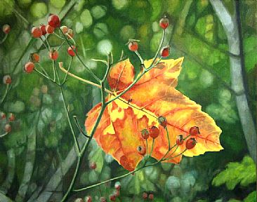 Leaf and Rosehips - Fall Leaf resting on Rosehips by  Harlan