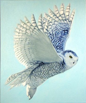 Hope has Wings - Snowy Owl by  Harlan