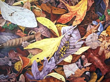 Purple Fall - Fall Leaves by  Harlan