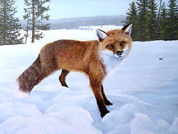 The Getaway - Red Fox by Robert Schlenker